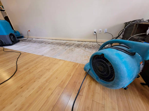 Professional Basement Flood Cleanup technician working in Josephine, WV